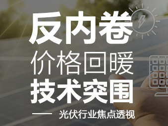 反内卷、价格回暖、技术突围 ——光伏行业焦点透视